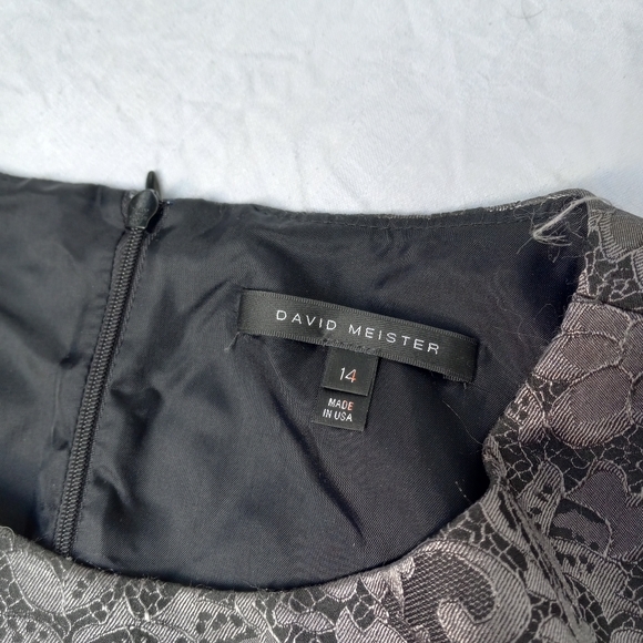 DAVID MEISTER shift Dress - Picture 2 of 8